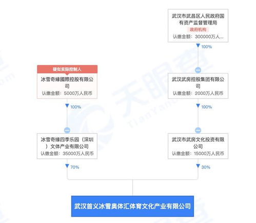 武漢首義冰雪奧體匯 冰雪奇緣四季樂(lè)園與人工智能服務(wù)的創(chuàng)新融合